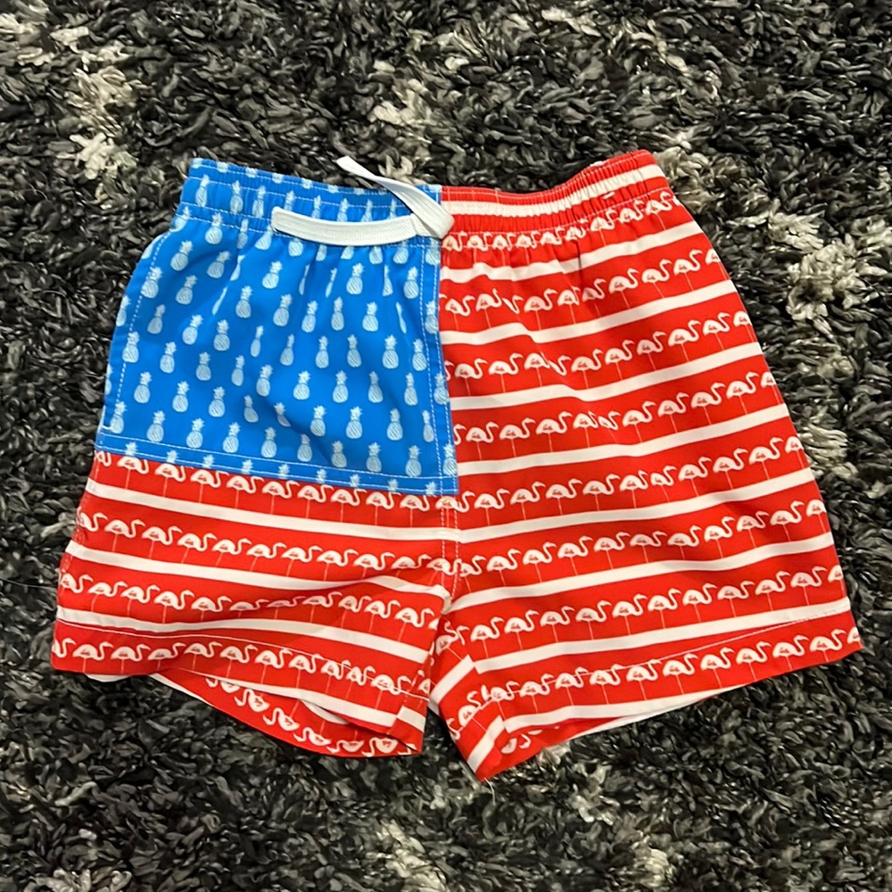 Boys chubbies swim shorts